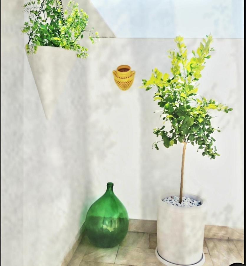 Dimora Asmara 11 15 Apartment บรินดิซิ ภายนอก รูปภาพ
